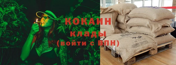 ГАЛЛЮЦИНОГЕННЫЕ ГРИБЫ Бронницы