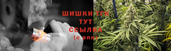 ГАЛЛЮЦИНОГЕННЫЕ ГРИБЫ Бронницы