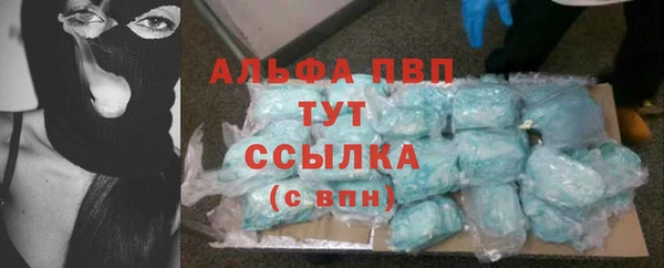 таблы Бородино