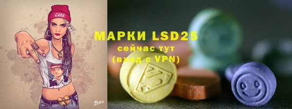 таблы Бородино
