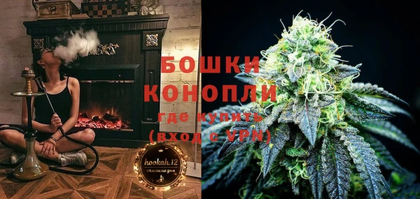 ГАЛЛЮЦИНОГЕННЫЕ ГРИБЫ Бронницы
