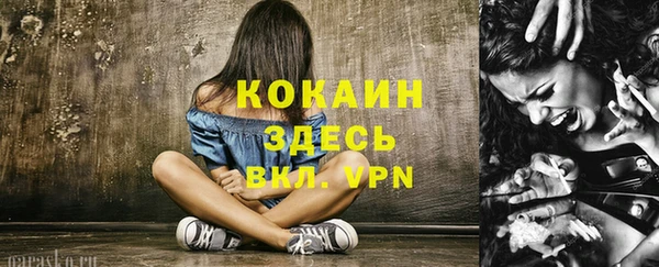 таблы Бородино