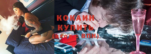 таблы Бородино