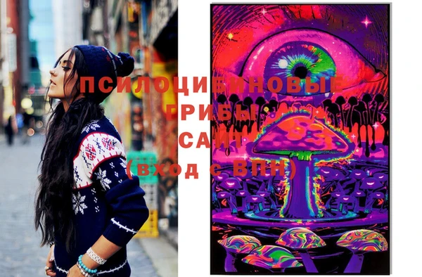 таблы Бородино