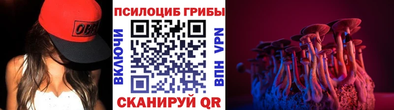 Галлюциногенные грибы GOLDEN TEACHER  Купить  Горняк 